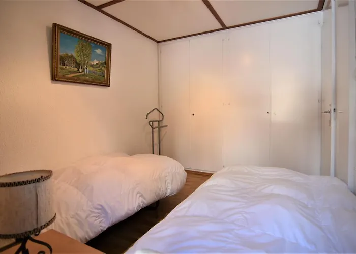 Haus Viols 46 * Savognin